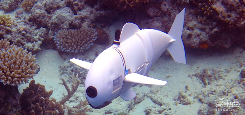MIT研发以假乱真的软机器鱼 可侦查海洋生物