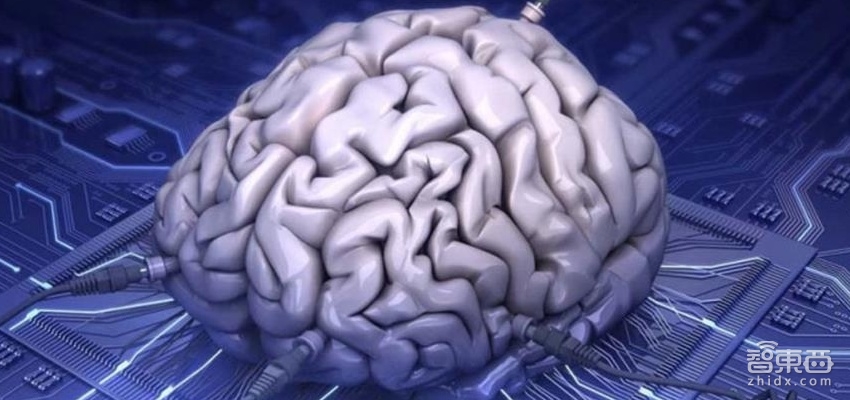 通过生物芯片构造人工大脑 哈佛研究员探索疾病新疗法