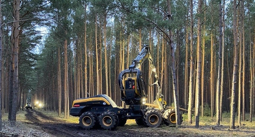 特斯拉德国工厂有望下周复工 林场砍伐项目仍面临较大争议