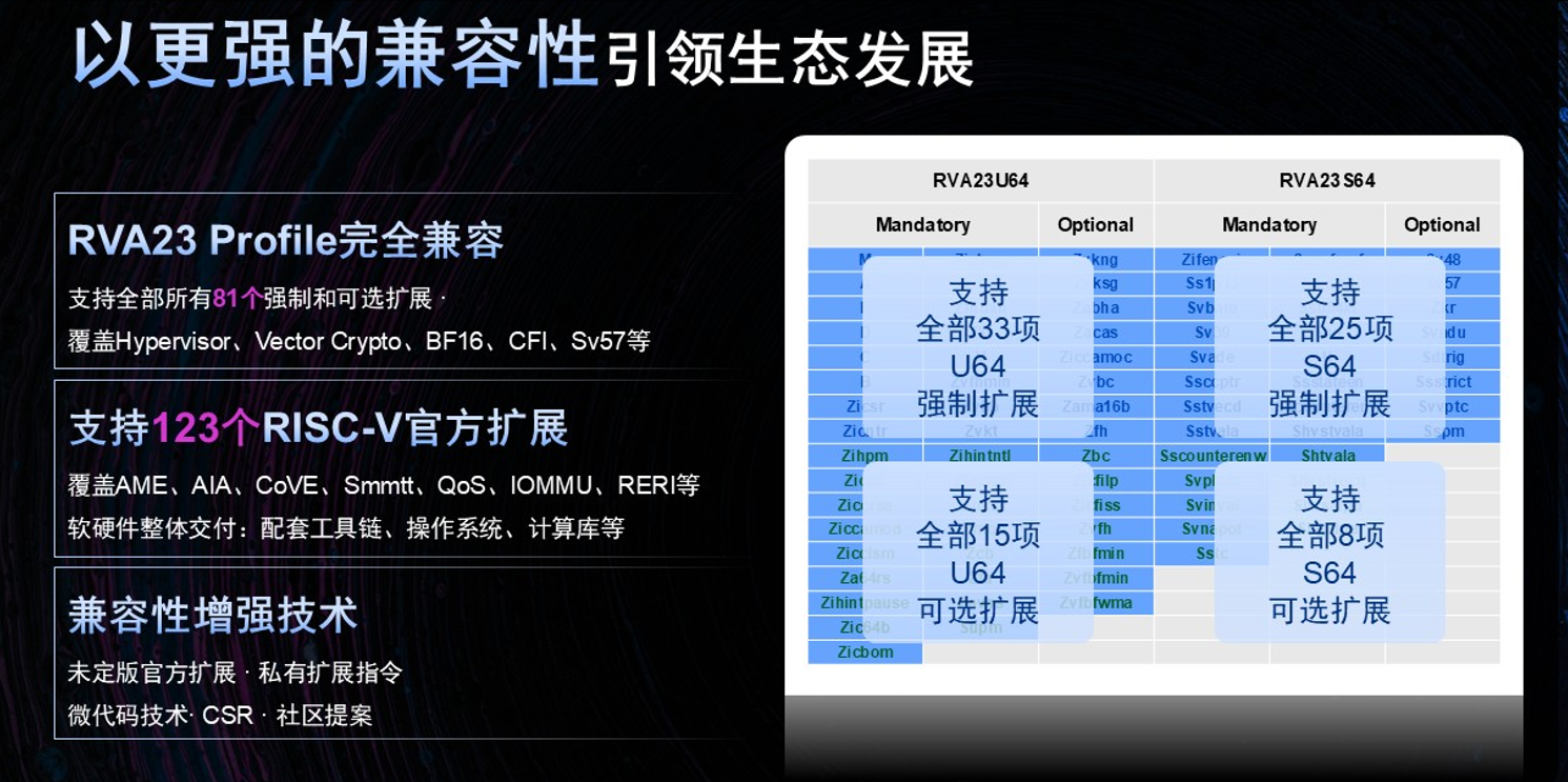 国产芯片黑马,趟出“通推一体”RISC-V芯片新路子