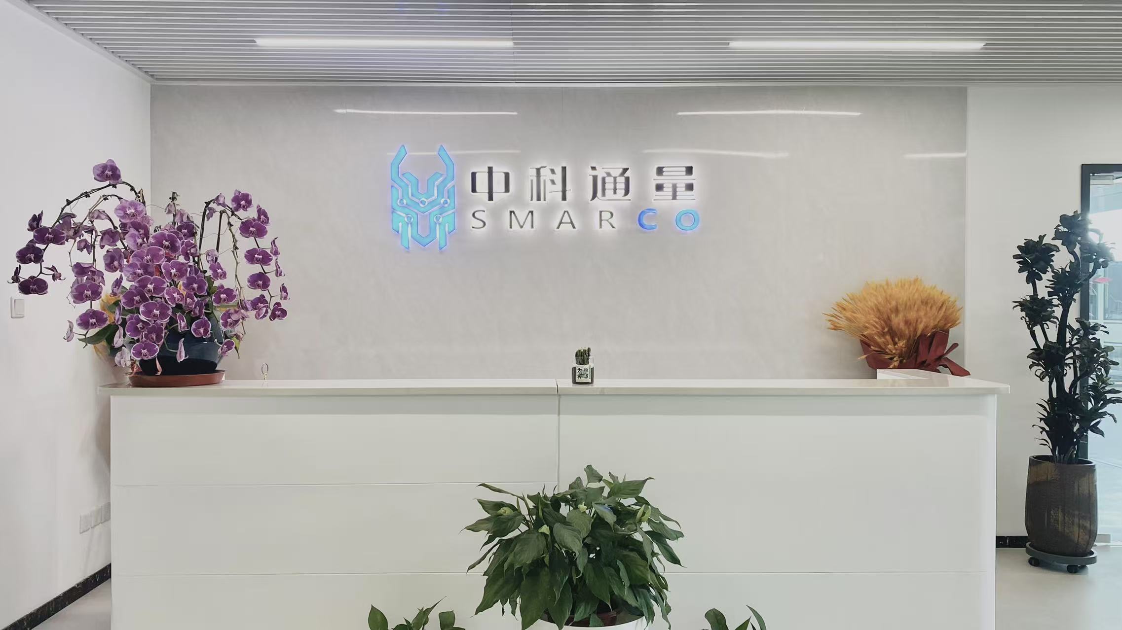 这颗RISC-V+数据流架构的AI芯片,想把视频生成成本打下来
