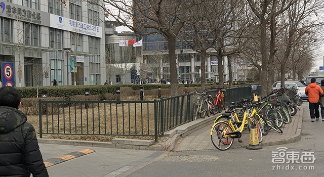 共享单车体验为王 ofo与摩拜到底哪家强?