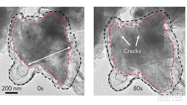 智东西晚报:谷歌Q4净赚49亿美元 盘后股价大涨8%市值超苹果