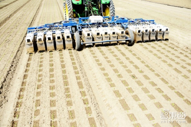 在不久的将来 人类的食物将由AI和机器学习提供