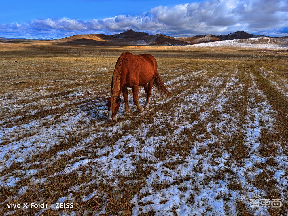 联合实验室首次揭秘！“让普通人拍大片”这事，vivo一做就是十年