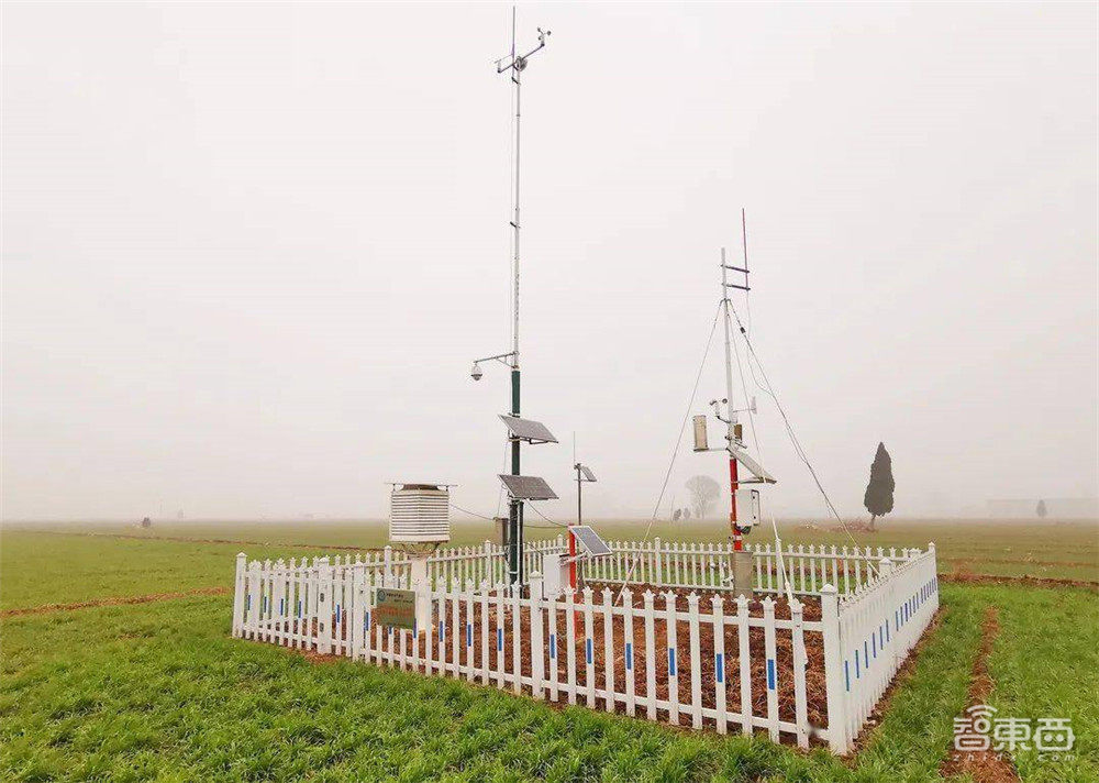 你回不去的老家,正搭上数字化的大潮飞起!