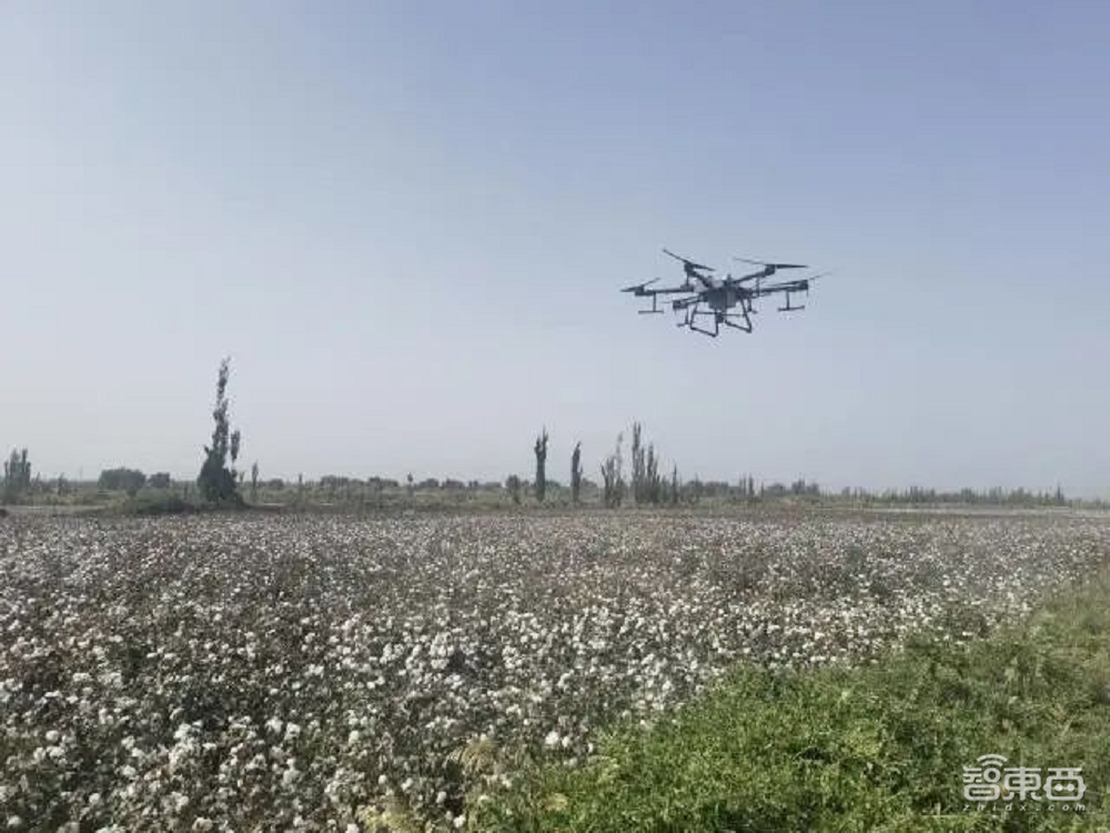 走进真实的智慧乡村,进村靠脸,种田上天,秋收上网