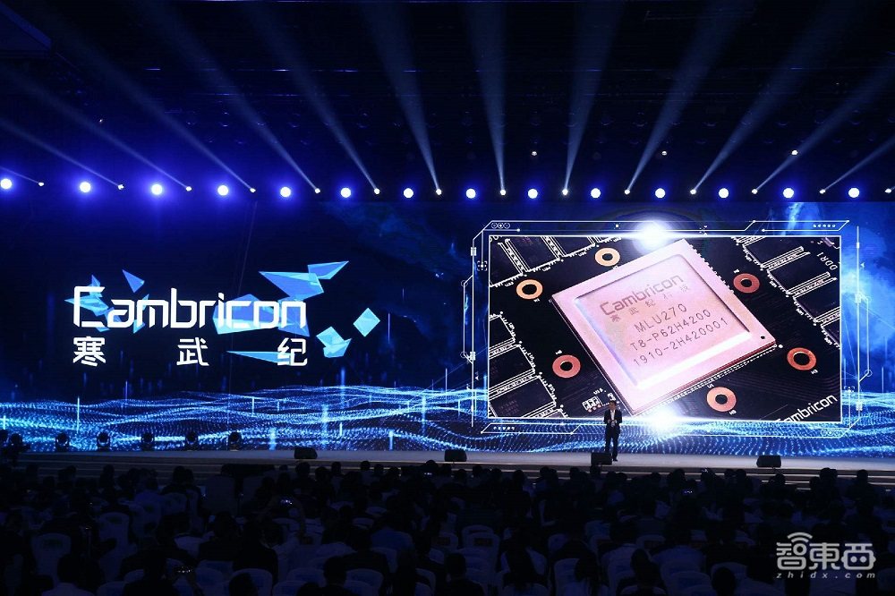 全球TOP20增速最快芯片企業(yè)，中國(guó)獨(dú)占19家