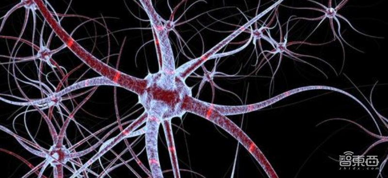 现实版《死亡搁浅》!外骨骼机器人送餐,外卖小哥背百斤重物轻松上楼