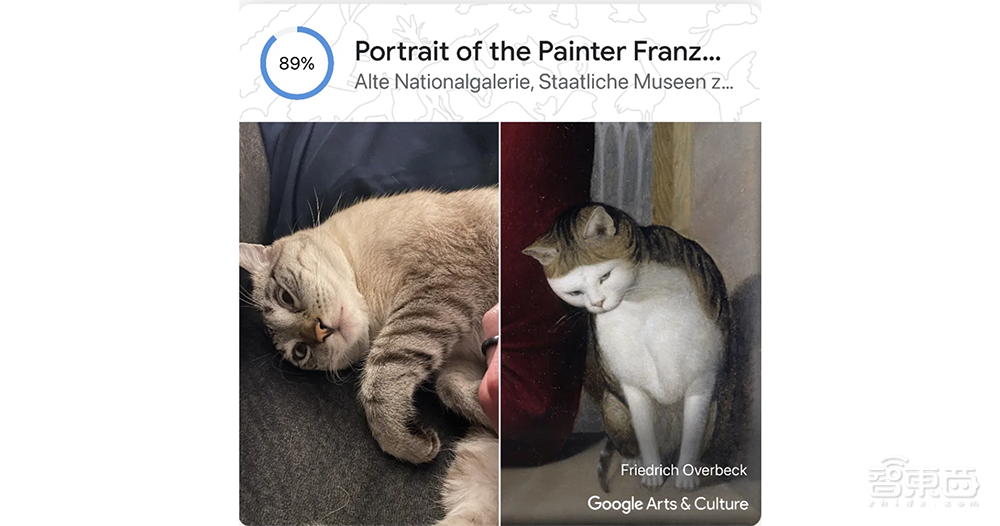 你的寵物也有藝術化身了，谷歌AI新功能上線