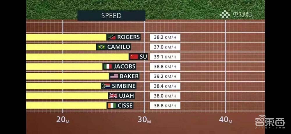 芯片巨头的AI“搬砖”路：如何从一粒种子到一片森林？