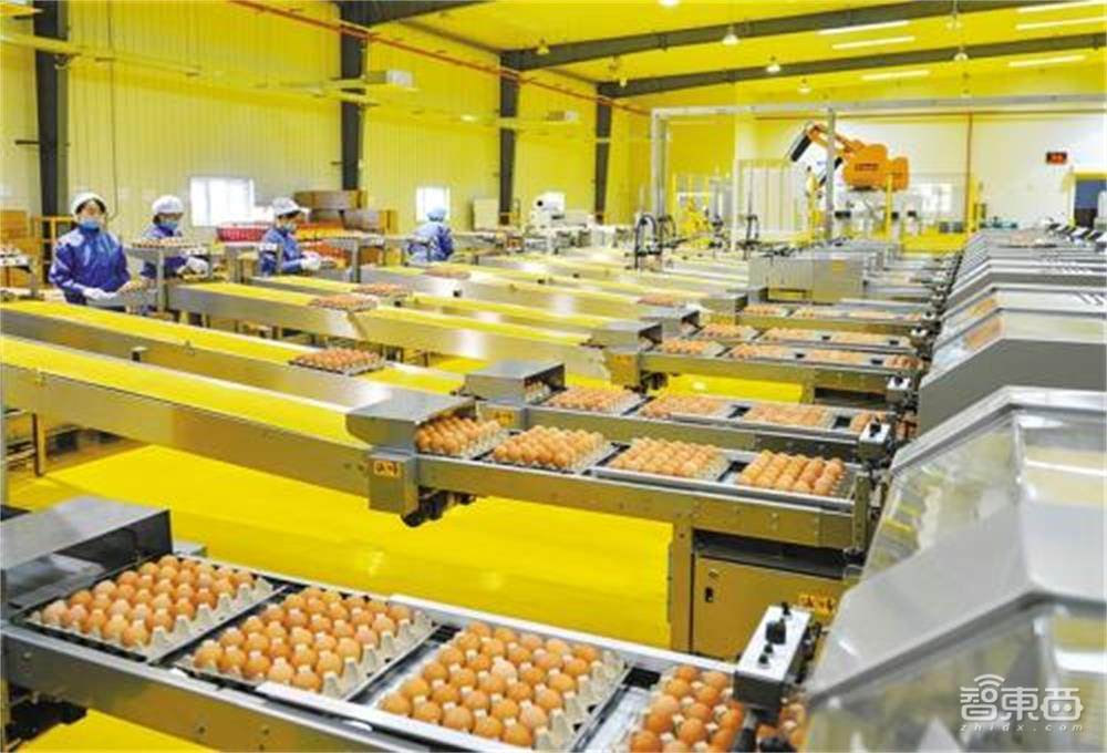 你回不去的老家,正搭上数字化的大潮飞起!