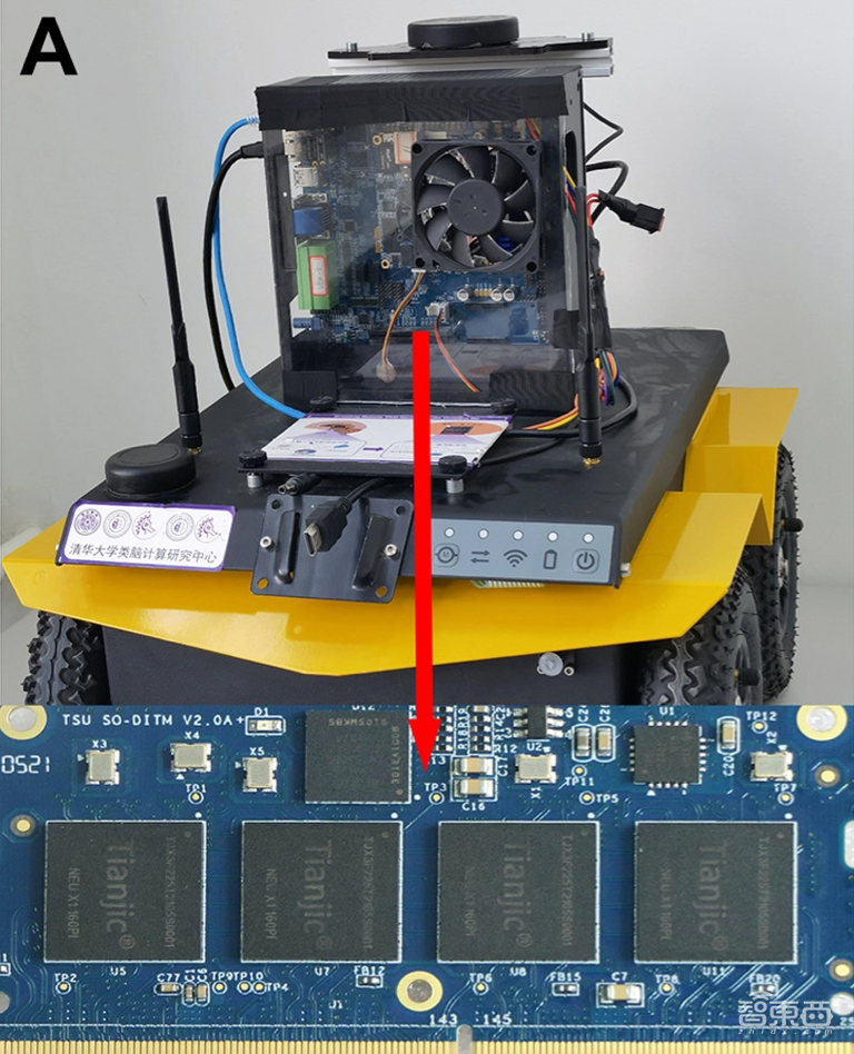 让机器人玩猫捉老鼠，清华类脑芯片再登国际顶刊Science子刊！