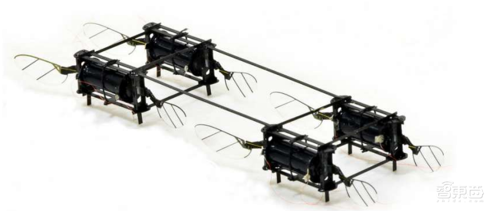 翻滚跳跃不怕撞!MIT研发新型“昆虫”无人机,1秒能扇500次翅膀