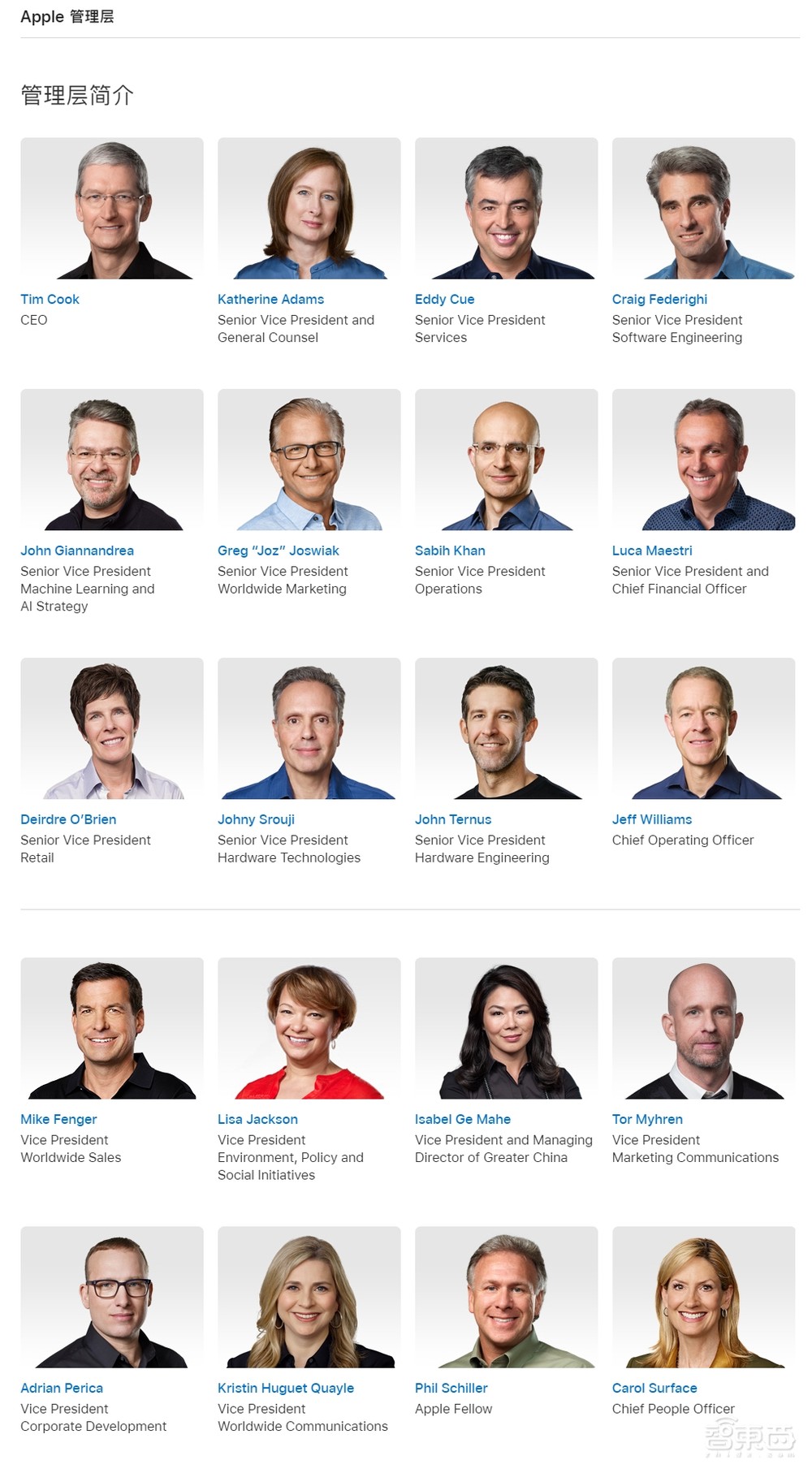 苹果6位新晋副总裁上任!涉及四大业务,“平价版Vision Pro”更多细节曝光