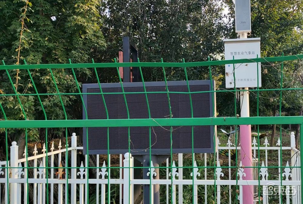 走进真实的智慧乡村,进村靠脸,种田上天,秋收上网