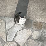 三点一四