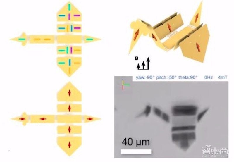 癌症救星！微型机器人将可进入体内杀死癌细胞