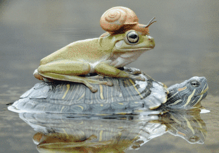 CV迎GPT-3时刻!万物皆可一键抠图,Meta新模型要掀起CV革命?