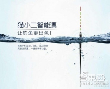 钓鱼也智能?对话智能鱼漂创始人赖月辉