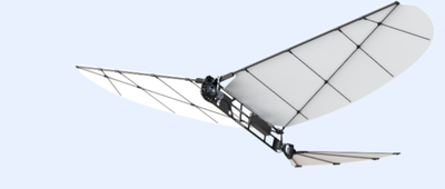 00后交大博士造飞行机器人，融资超千万，交大投了