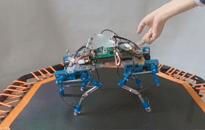 不用弹性腿也能跳,浙大博士用蹦床研究机器人跳跃