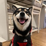 江 宇