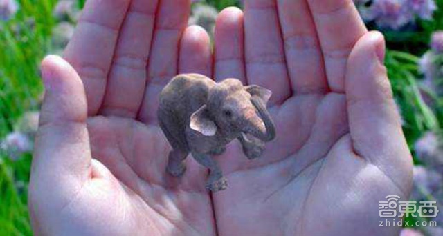 全球可穿戴产品Top100