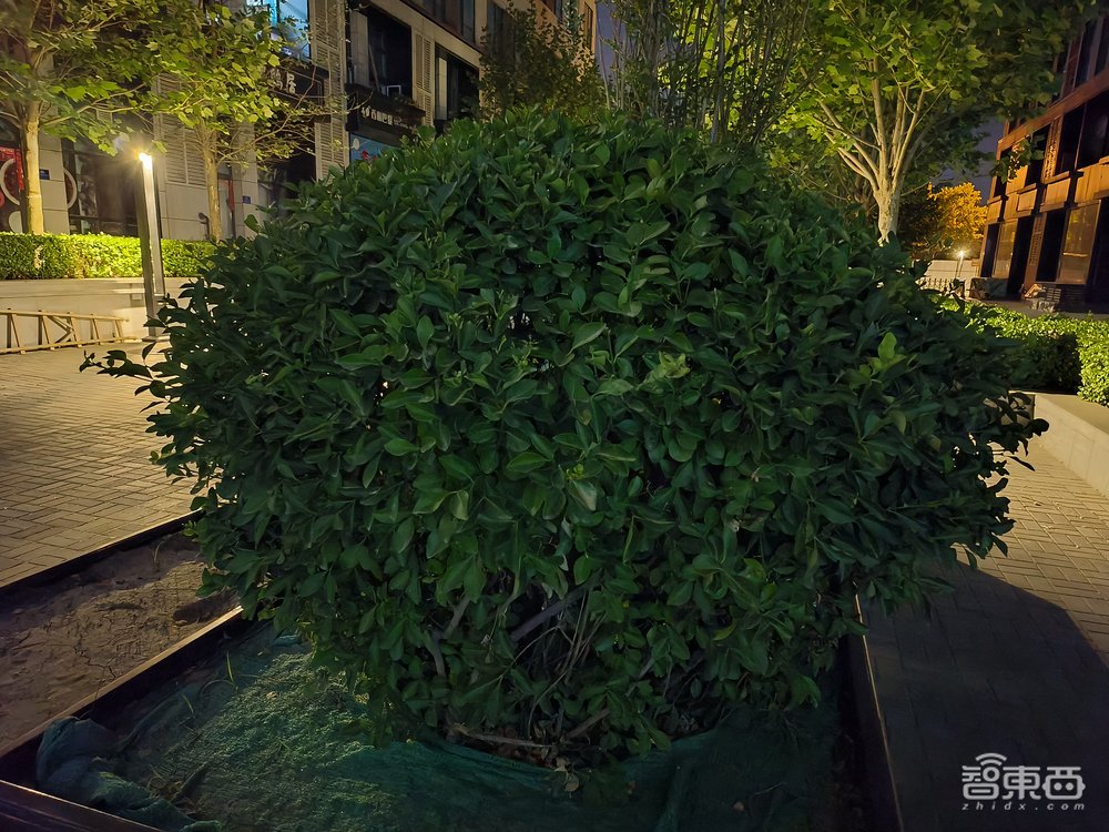 OPPO Reno8 Pro+体验:自研影像NPU提升逆光、夜拍,大镜头窄边框抢眼