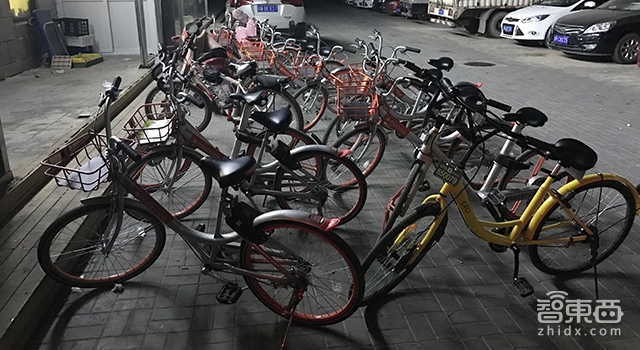 共享单车体验为王 ofo与摩拜到底哪家强?