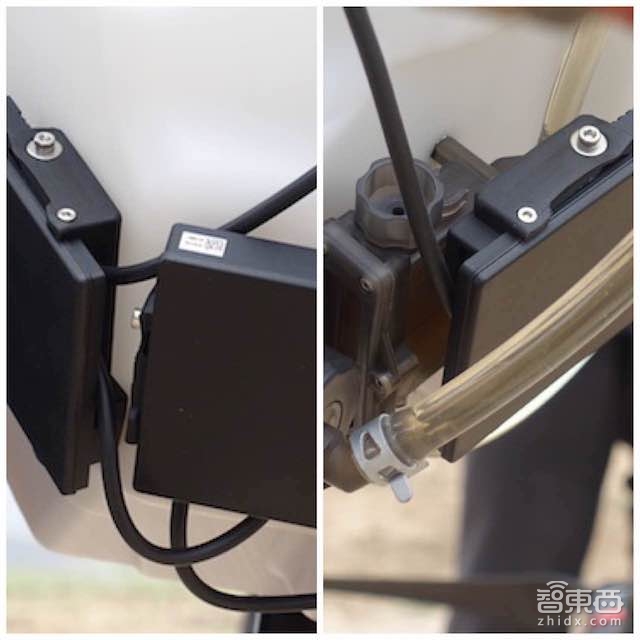 特写:无人机下乡三年 海归植保队征服5万亩果园