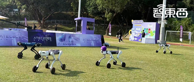 机器人香港开启极限挑战，丢掉遥控器，硬刚全自主！