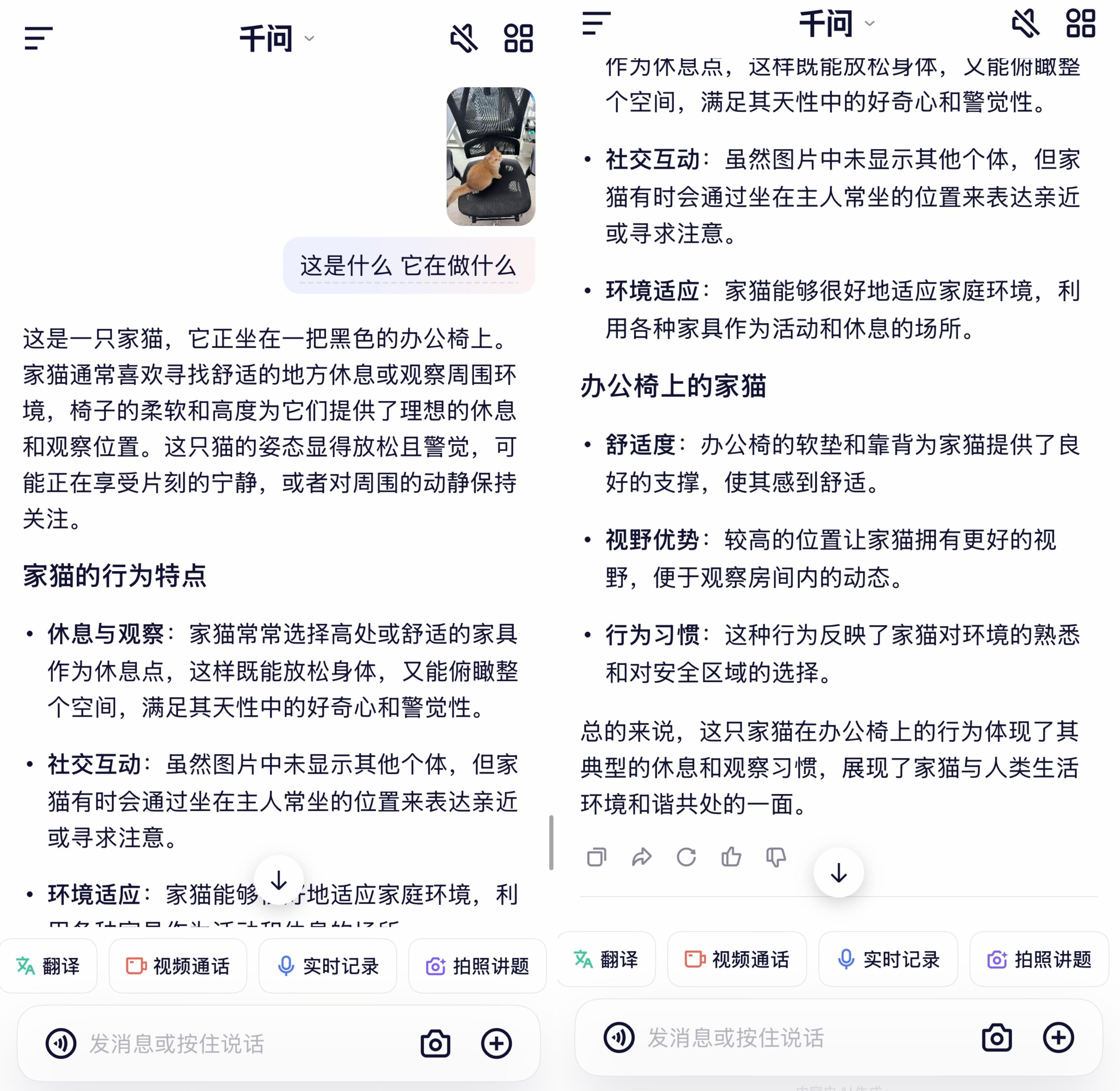 刚刚，阿里宣战ChatGPT！