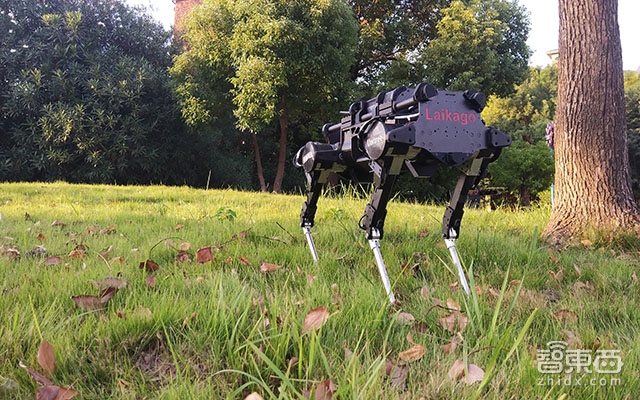 机器狗Laikago震惊IEEE ,这个90后要做中国版波士顿动力