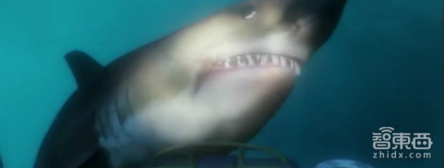 65款PS VR游戏大作提前盘点!索尼打算靠这些干掉Oculus?