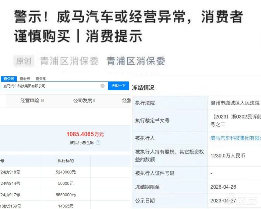 造车新势力的n种死法