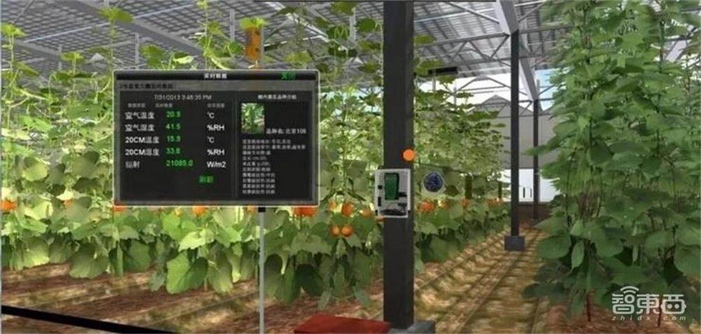 你回不去的老家,正搭上数字化的大潮飞起!