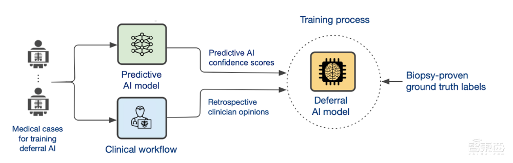 DeepMind发表新作！AI可协助医生作出影像诊断，部分误诊率下降25%