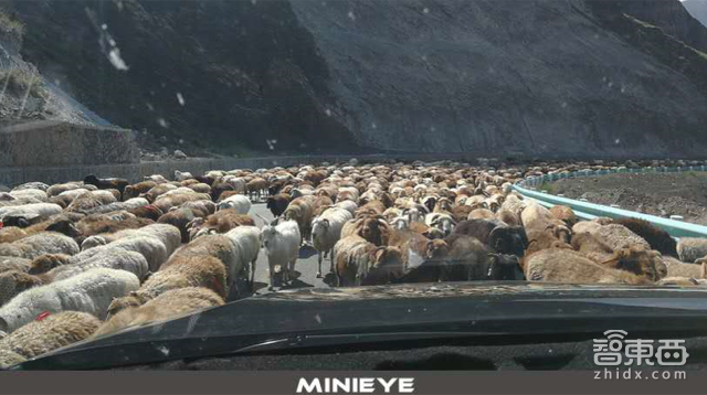 ADAS的前世今生,以及一个世界难题!