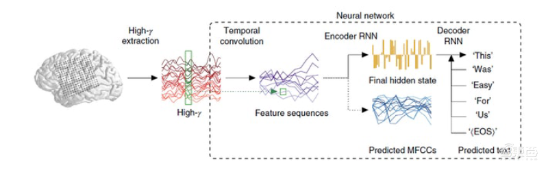 脑机接口新研究:超准“脑活动翻译器”,错误率不到3%