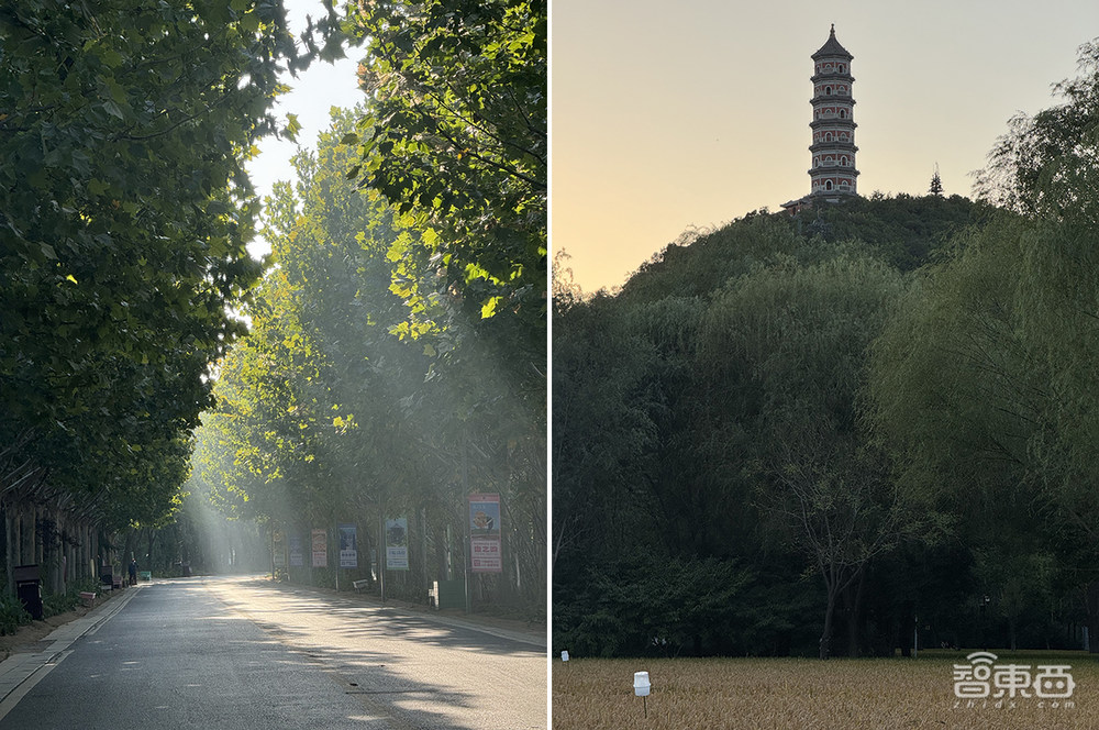 5倍長焦有多少種玩法？iPhone 15 Pro Max長焦攝影深度體驗