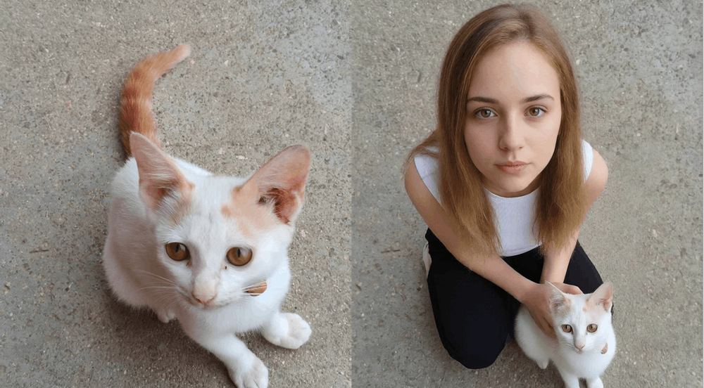 阶跃星辰新图像编辑模型来了！2分钱一张、0.7秒出图，实测海报风格迁移出彩