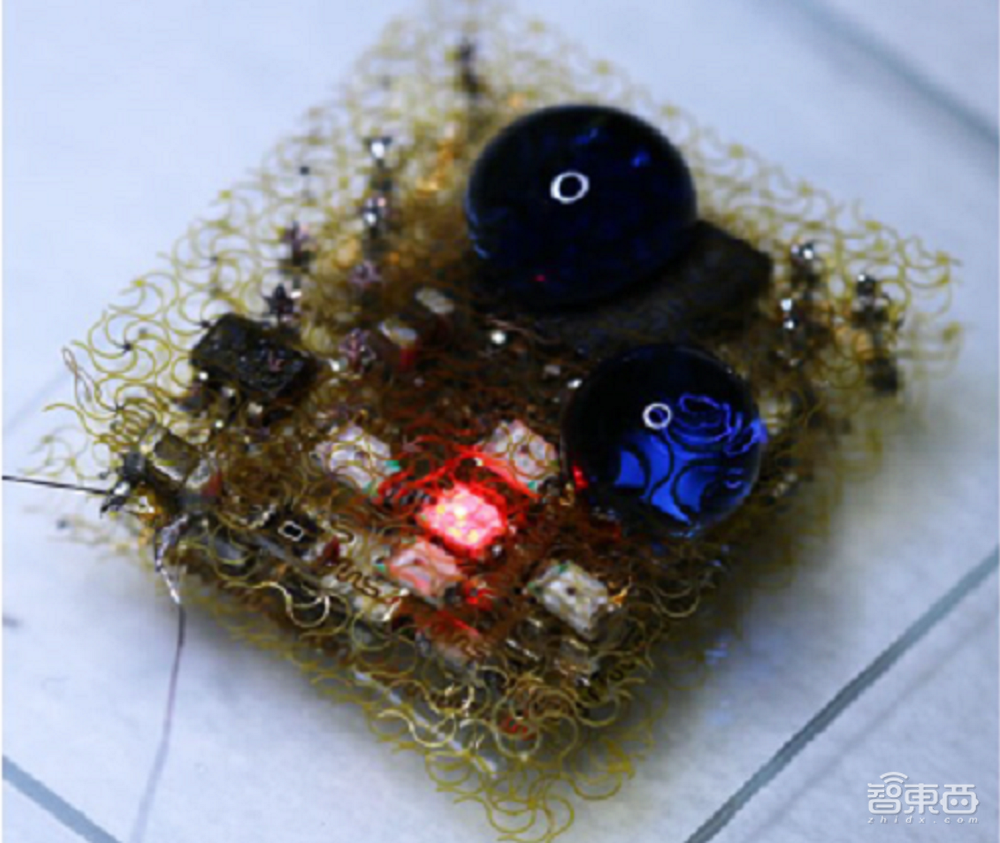 隔空操作电脑!清华团队电子皮肤成果登Science子刊封面