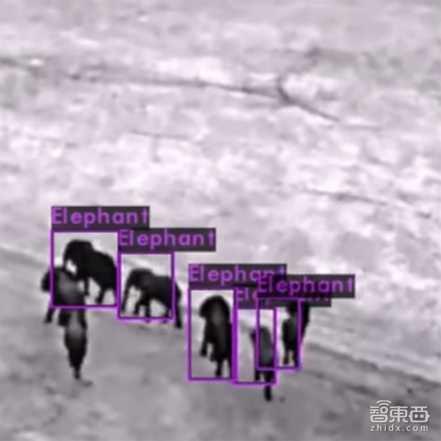 智东西晚报:大疆深夜推出自拍无人机 软银40亿美元成英伟达第四大股东