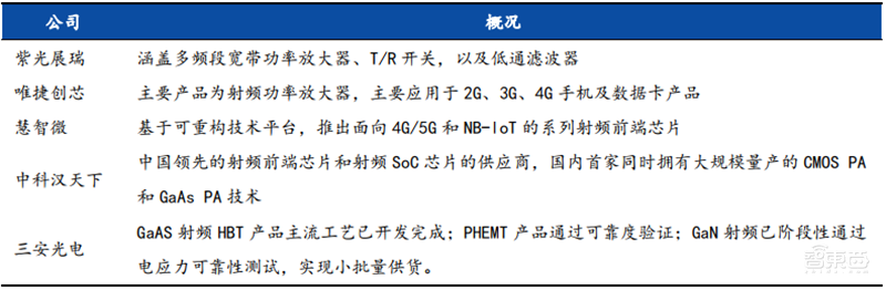 揭秘本土IC行业现状！国产替代三大黄金赛道，“赶英超美”最佳路线【附下载】| 智东西内参