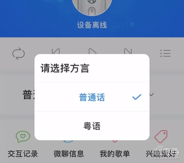出国不再靠比划:三款翻译蛋产品横评,谁是暑期出境最佳翻译?