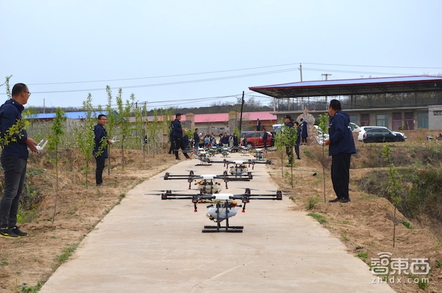 特写:无人机下乡三年 海归植保队征服5万亩果园