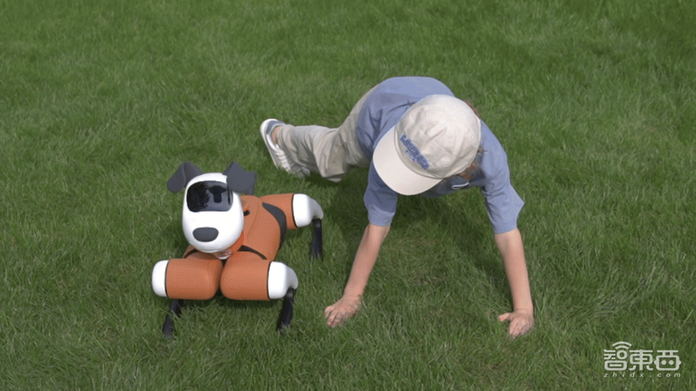 蔚蓝科技发布具身智能机器狗,人形机器人预计2025年量产