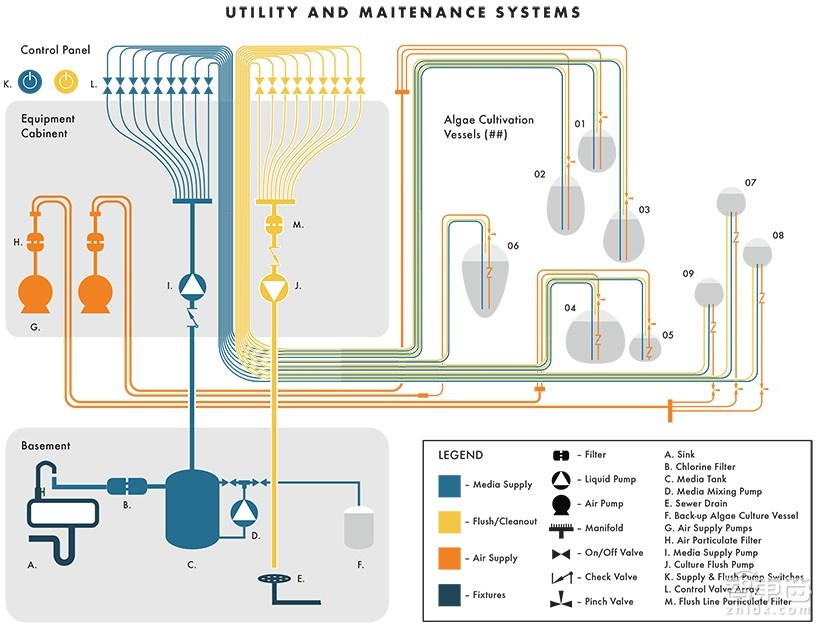 好看又能吃的夜明珠 LIVING THINGS