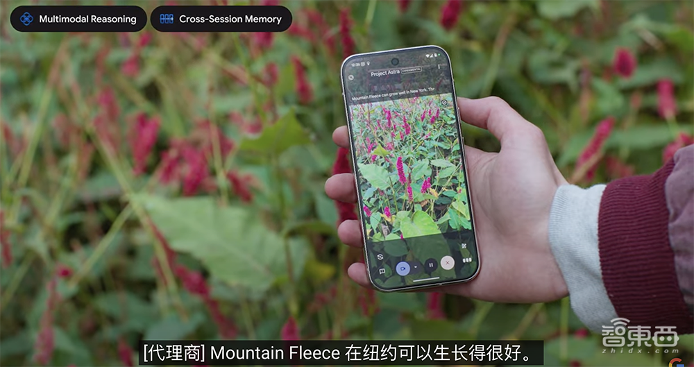 谷歌最强大模型登场!掀Agent风暴,放AI芯片大招,深夜突袭OpenAI